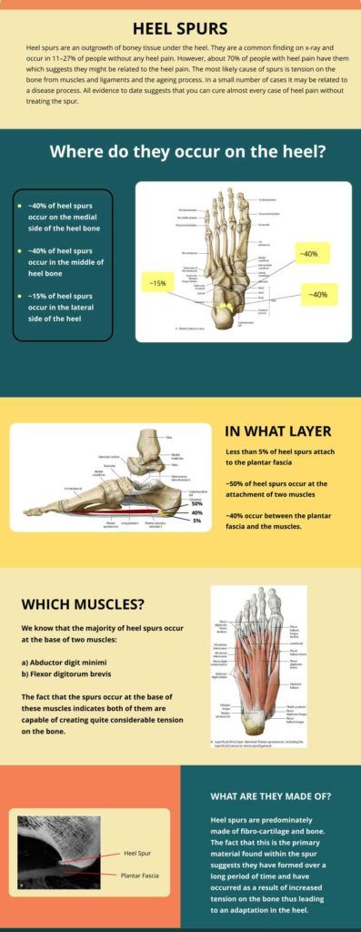 Heel & Ankle Spurs Pain Infographic